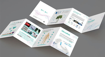 医疗生物折页设计-医疗生物折页设计公司